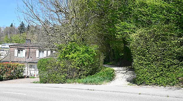 Sanierung der Wasserleitung Haldenweiher bis Kirchmoosstrasse