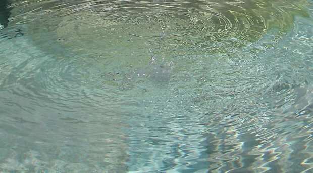 50 Jahre Grundwasserverband Wiggertal