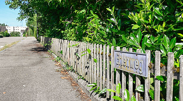 Sanierung der Werkleitungen im Erlenweg