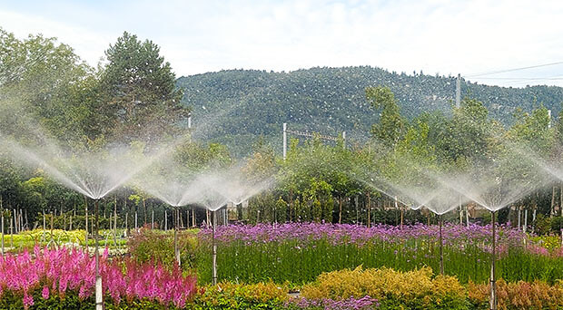 Smarte Bewässerung für gesunde Pflanzen