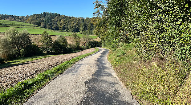 Werkleitungssanierungen in der Höfenstrasse