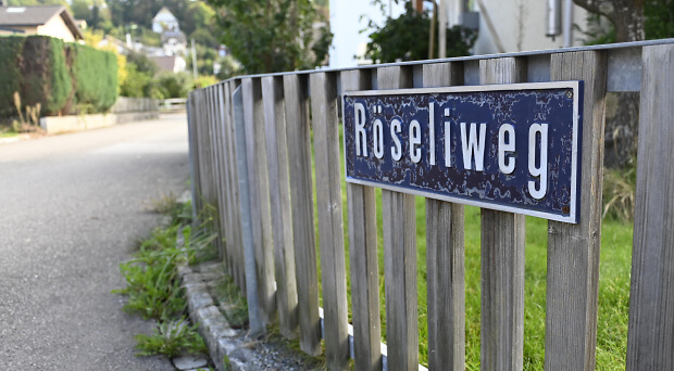 Erneuerung der Werkleitungen im Röseliweg