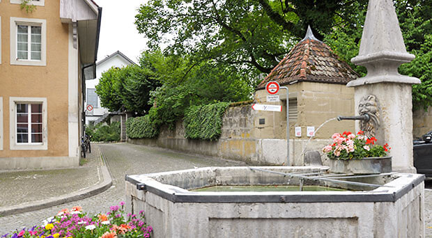 Instandhaltungsarbeiten am Brunnenleitungsnetz