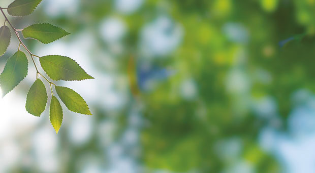 Revidiertes CO2-Gesetz